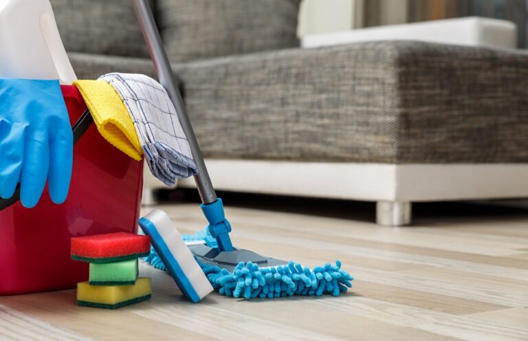 Emergency Cleanup: Steps to take for unexpected messes like wine spills, ink stains, or pet accidents.
